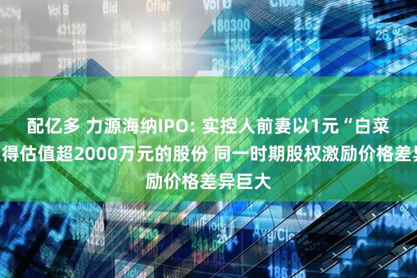 配亿多 力源海纳IPO: 实控人前妻以1元“白菜价”获得估值超2000万元的股份 同一时期股权激励价格差异巨大
